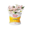 DOIY Vase Chips > Vases