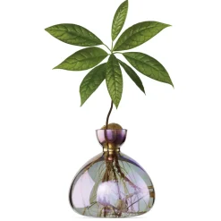Ilex Studio Vase en verre pour avocat > Vases