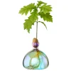 Ilex Studio Vase en verre pour gland Cosmic > Vases