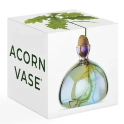 Ilex Studio Vase en verre pour gland Cosmic > Vases
