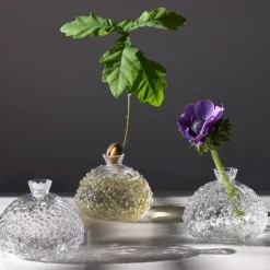 Sélectionné par Fleux Vase Regn > Carafes & Verres|Vases