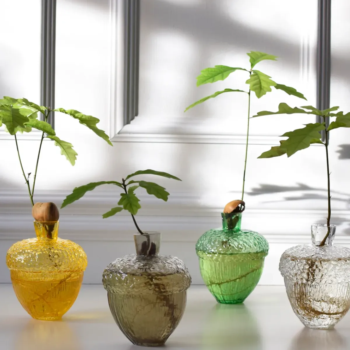 Sélectionné par Fleux Vase Robur > Carafes & Verres|Vases